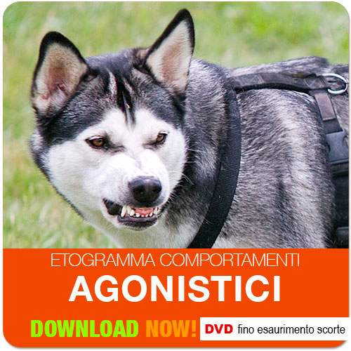 dvd etogramma comportamenti aggressivi del cane