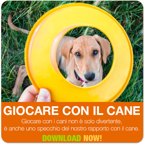 giocare con il cane