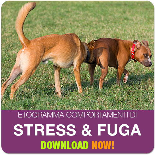 dvd etogramma comportamenti di paura e stress del cane