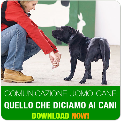 dvd libro guida educazione comunicazione cane uomo